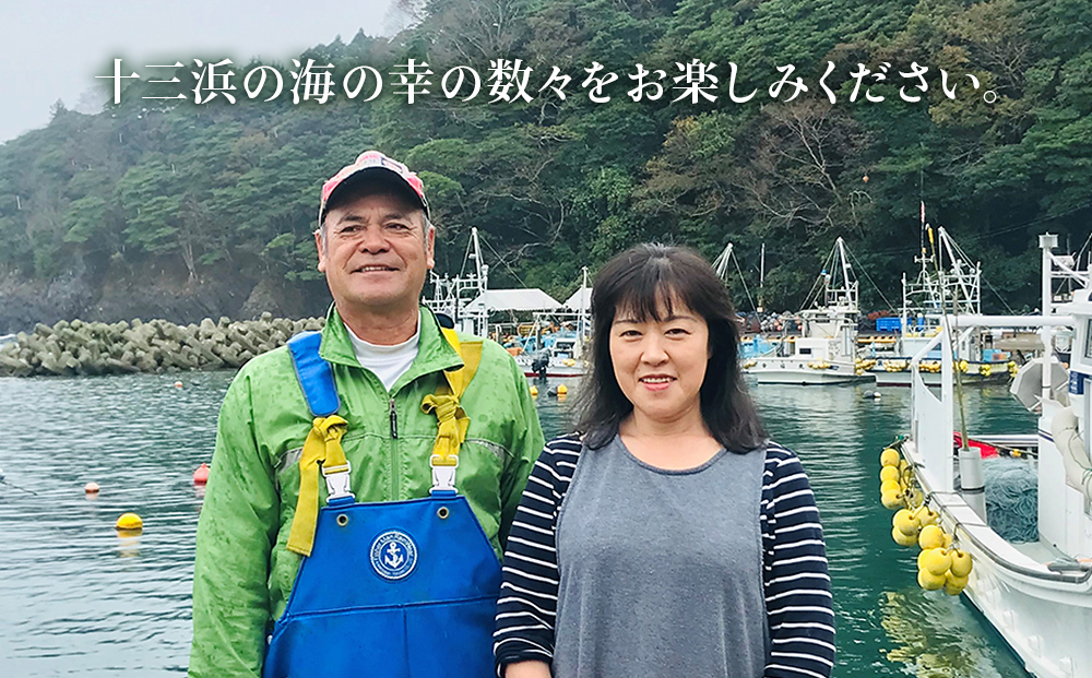 マルイチ西條水産の 塩蔵わかめ 5袋 セット わかめ ワカメ 肉厚 十三浜産 海藻 海鮮 海産物 みそ汁 サラダ 酢の物 宮城県 宮城 石巻市 石巻