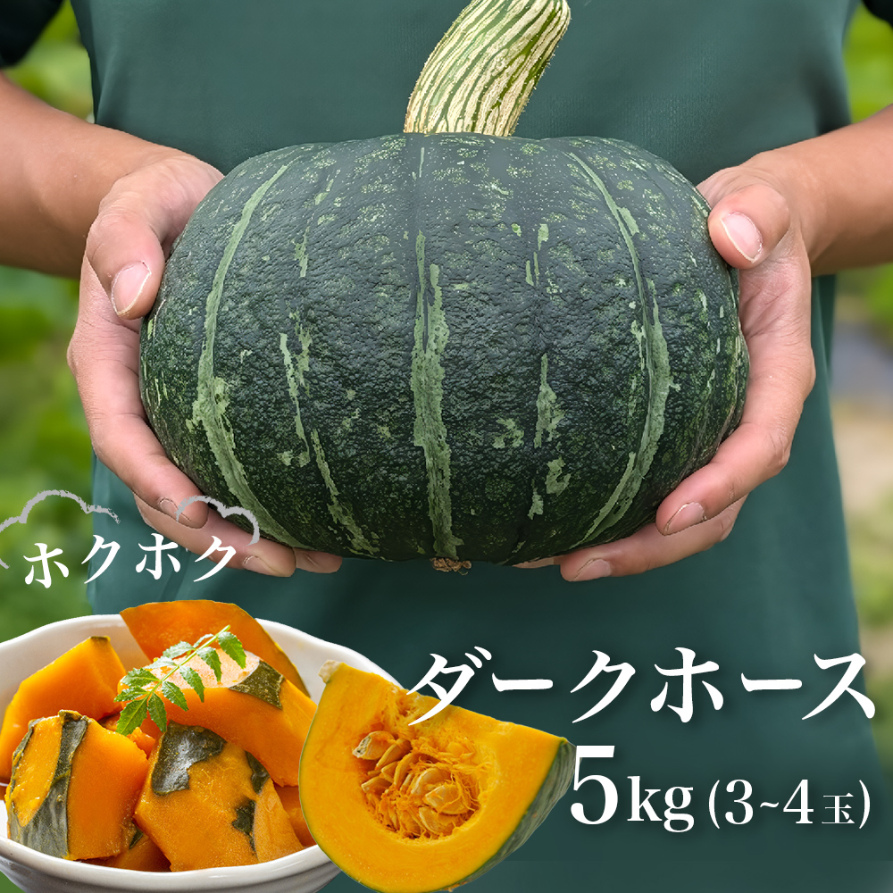 石巻伝承野菜 かぼちゃ ダークホース 5キロ 3～4玉 カボチャ 南瓜 野菜 石巻産 国産 甘い 濃厚 おかず スープ 宮城県 宮城 石巻市 石巻