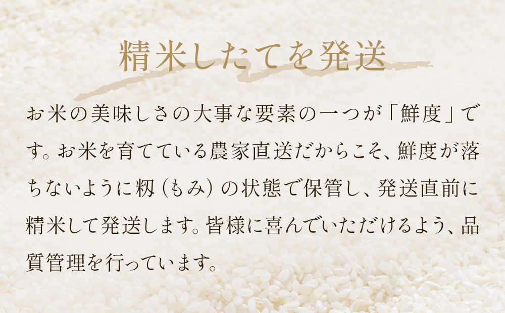 【10月配送】 ＜先行予約＞ 令和8年産 ひとめぼれ 精米 10kg（5kg×2）単品 新米 特別栽培米 減農薬栽培 ヨシ腐葉土米 ブランド米 国産 ごはん ライス お弁当 おにぎり 宮城県 石巻市 宮城 石巻