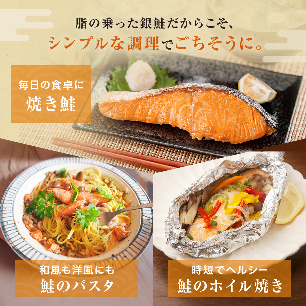【定期便】 訳あり 定塩銀鮭 切り身 合計 18kg 約3kg （ 30切れ 前後 ） 6回配送 鮭 銀鮭 さけ サケ 切身 鮭切身 不揃い 塩鮭 甘塩 石巻市 宮城県 石巻 宮城