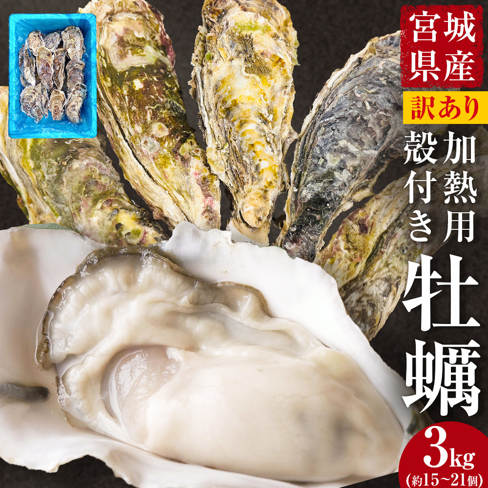 牡蠣 訳あり 宮城県産 無選別 3kg 加熱用 真牡蠣 かき カキ 貝 貝類 海産物 魚介類 海鮮 冷凍 宮城県 宮城 石巻市 石巻