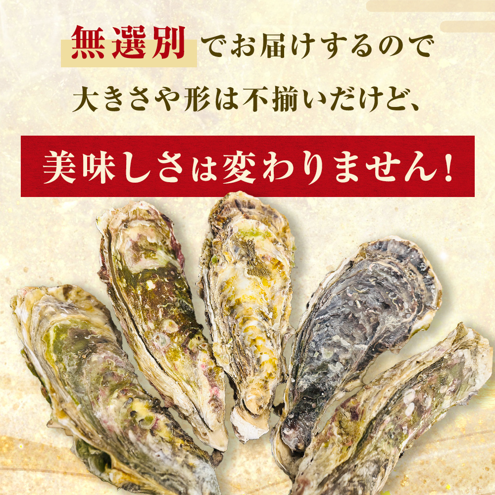 牡蠣 訳あり 宮城県産 無選別 3kg 加熱用 真牡蠣 かき カキ 貝 貝類 海産物 魚介類 海鮮 冷凍 宮城県 宮城 石巻市 石巻