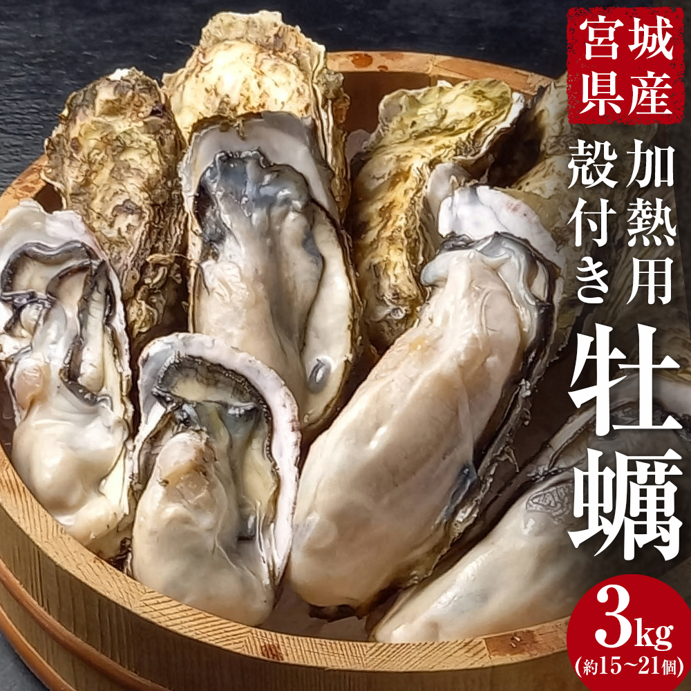 牡蠣 宮城県産 選別済み 3kg 加熱用 真牡蠣 かき カキ 貝 貝類 海産物 魚介類 海鮮 冷凍 宮城県 宮城 石巻市 石巻