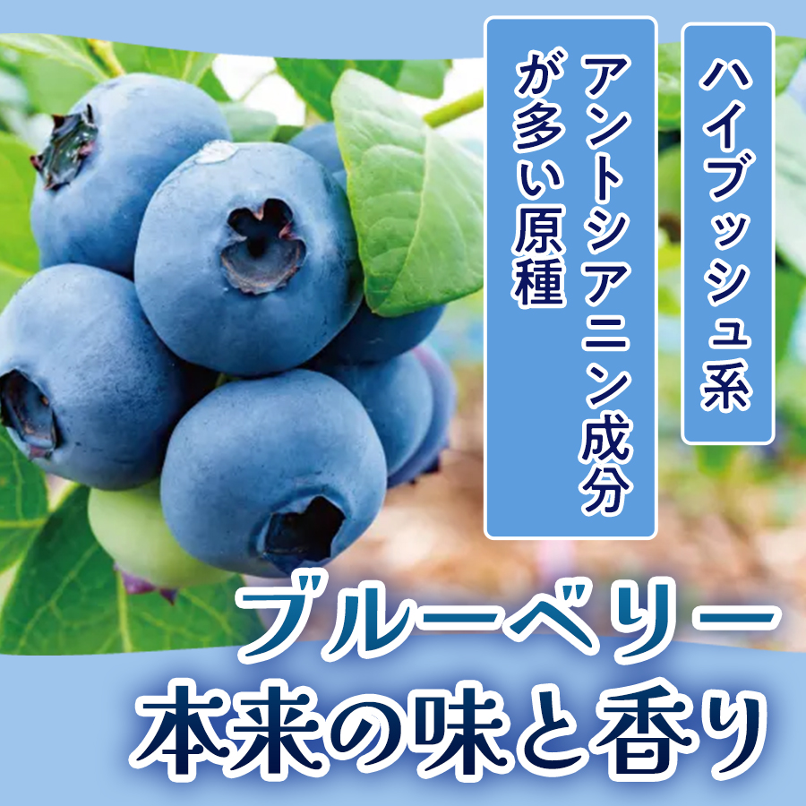 ブルーベリー シロップ50ml 手作り 果汁 フルーツ かき氷 カクテル アレンジ
