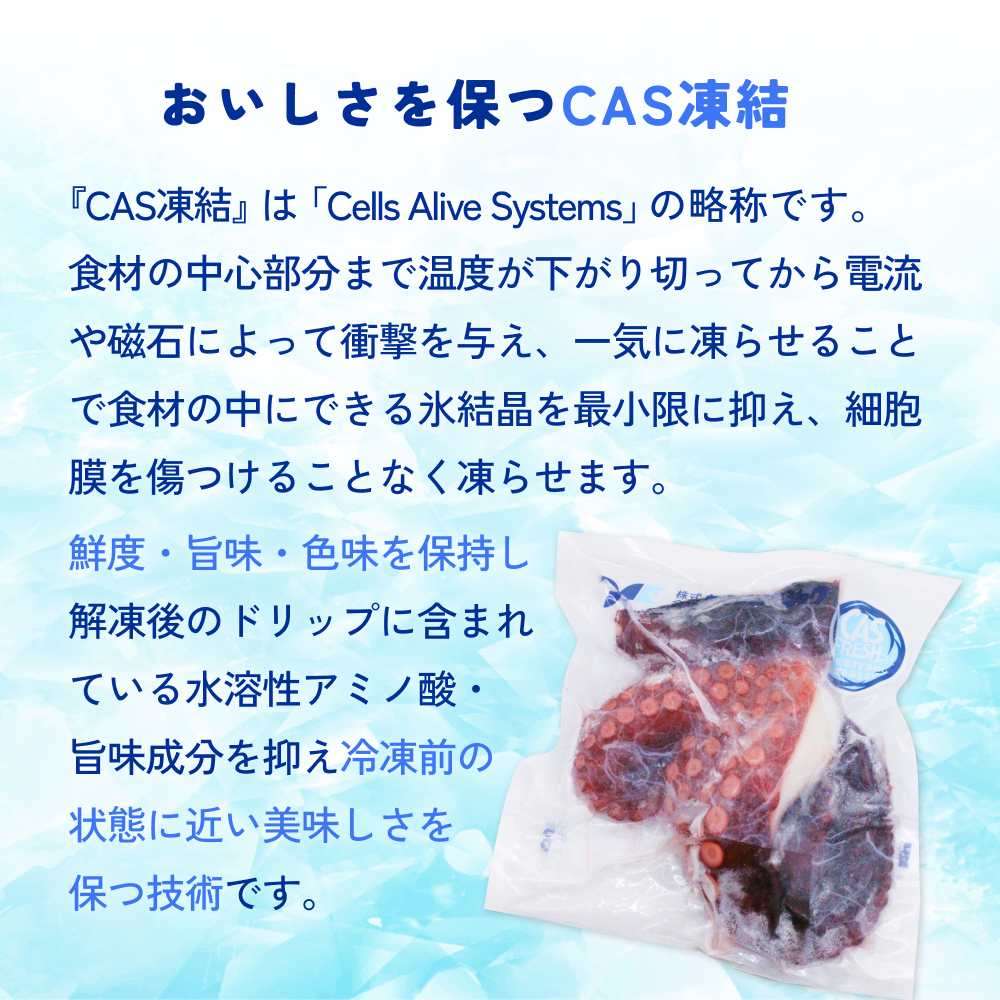 真たこ ボイル  約 500g 蛸 たこ タコ ボイル済み 冷凍 小分け CAS凍結 海鮮 魚介類