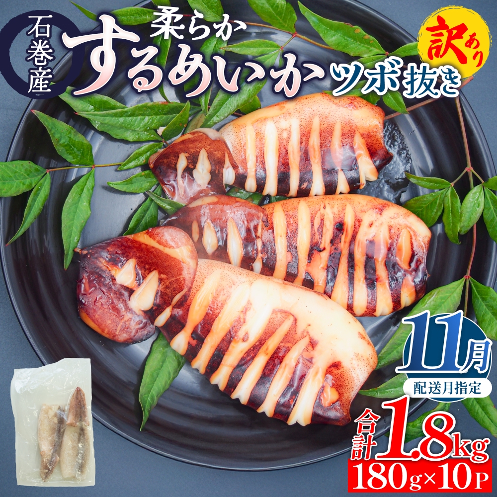 【11月配送】 訳あり 石巻産 柔らか するめいか ツボ抜き 180g × 10P スルメイカ いか イカ 烏賊 不揃い 小分け 下処理済み 時短調理 こだわり 冷凍 海鮮 魚介 おかず おつまみ 煮物 焼きイカ BBQ バーベキュー 宮城県 石巻市
