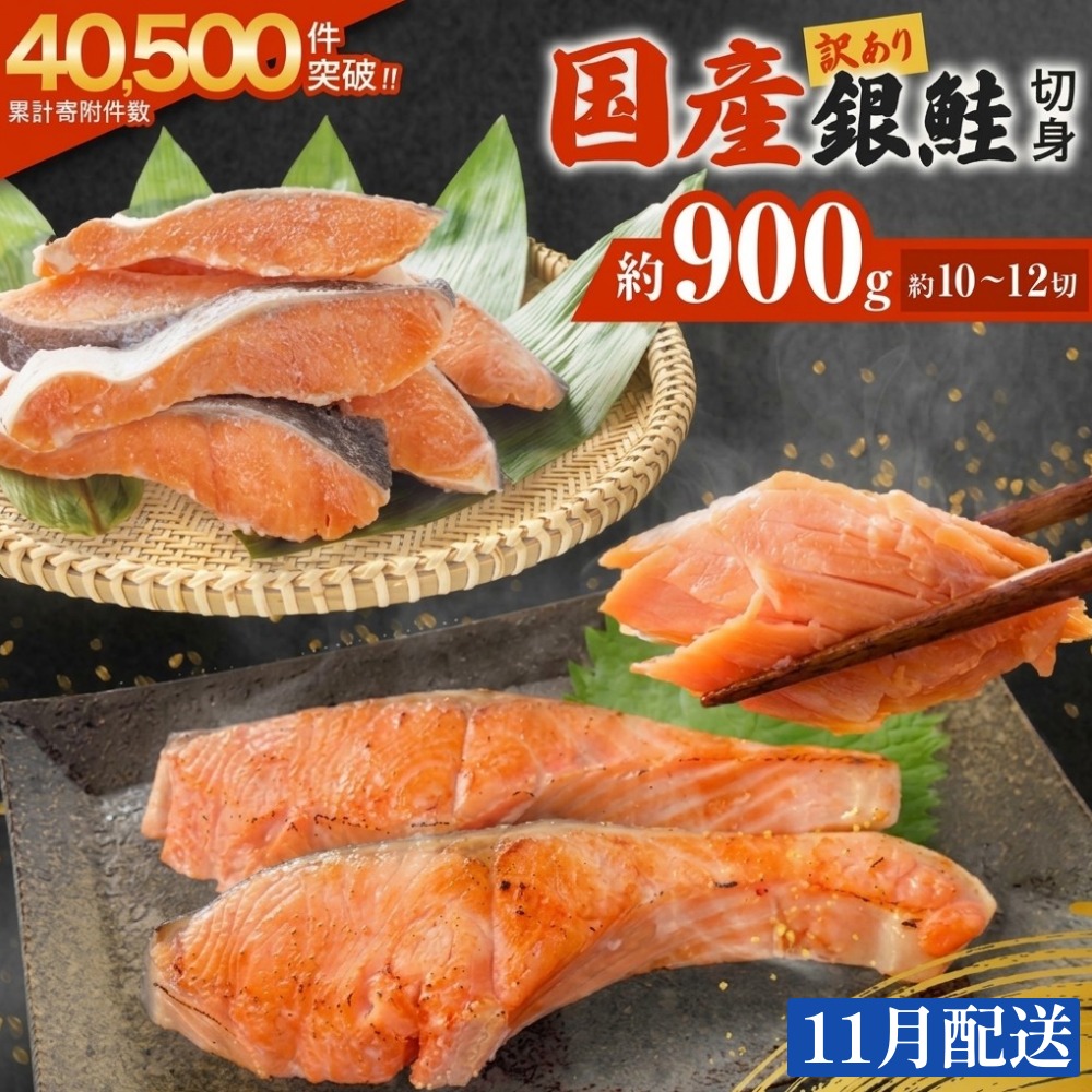 【11月配送】 訳あり 国産 銀鮭 0.9kg 定塩 切身｜ 冷凍 鮭 サーモン 不揃い ご家庭用 塩鮭 しゃけ シャケ 焼き魚 宮城県 石巻市 魚介類 魚 海産物