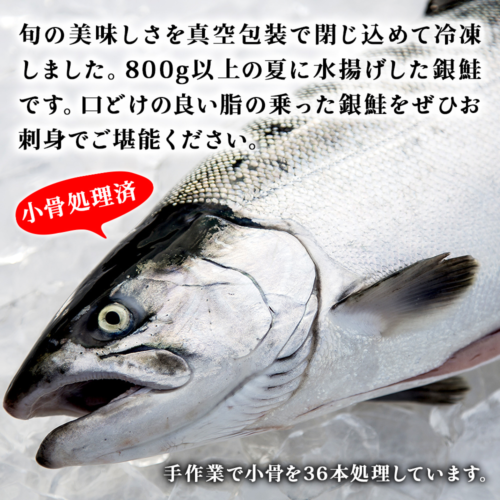 みやぎサーモン 半身 800g以上 宮城県 石巻市 鮭 サーモン 冷凍 フィレ 刺身