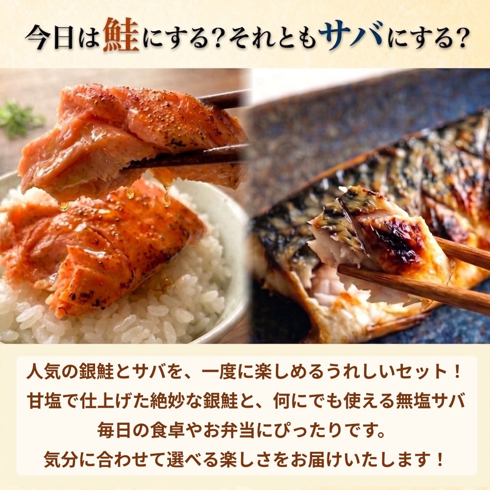 《訳あり》  定塩銀鮭 約 1kg  / 無塩サバフィレ 約 1kg 切り身 セット 合計 2kg 食べ比べ 詰め合わせ 鮭 サバ 塩鮭 甘塩 無塩さば おかず お弁当 切身 焼き魚 宮城県 石巻市 