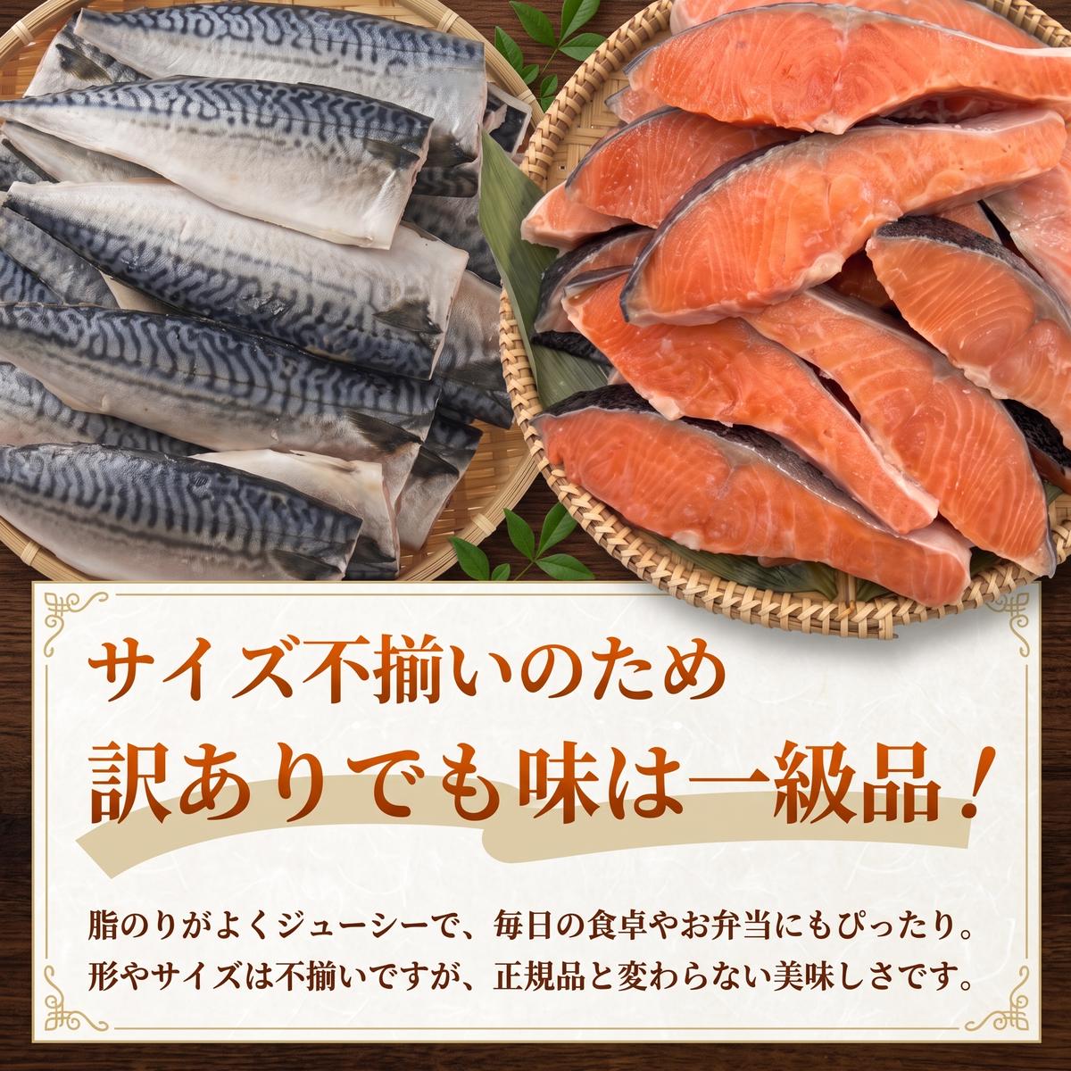 《訳あり》  定塩銀鮭 約 2kg  / 無塩サバフィレ 約 1kg 切り身 セット 合計 3kg 食べ比べ 詰め合わせ 鮭 サバ 塩鮭 甘塩 無塩さば おかず お弁当 切身 焼き魚 宮城県 石巻市                       
