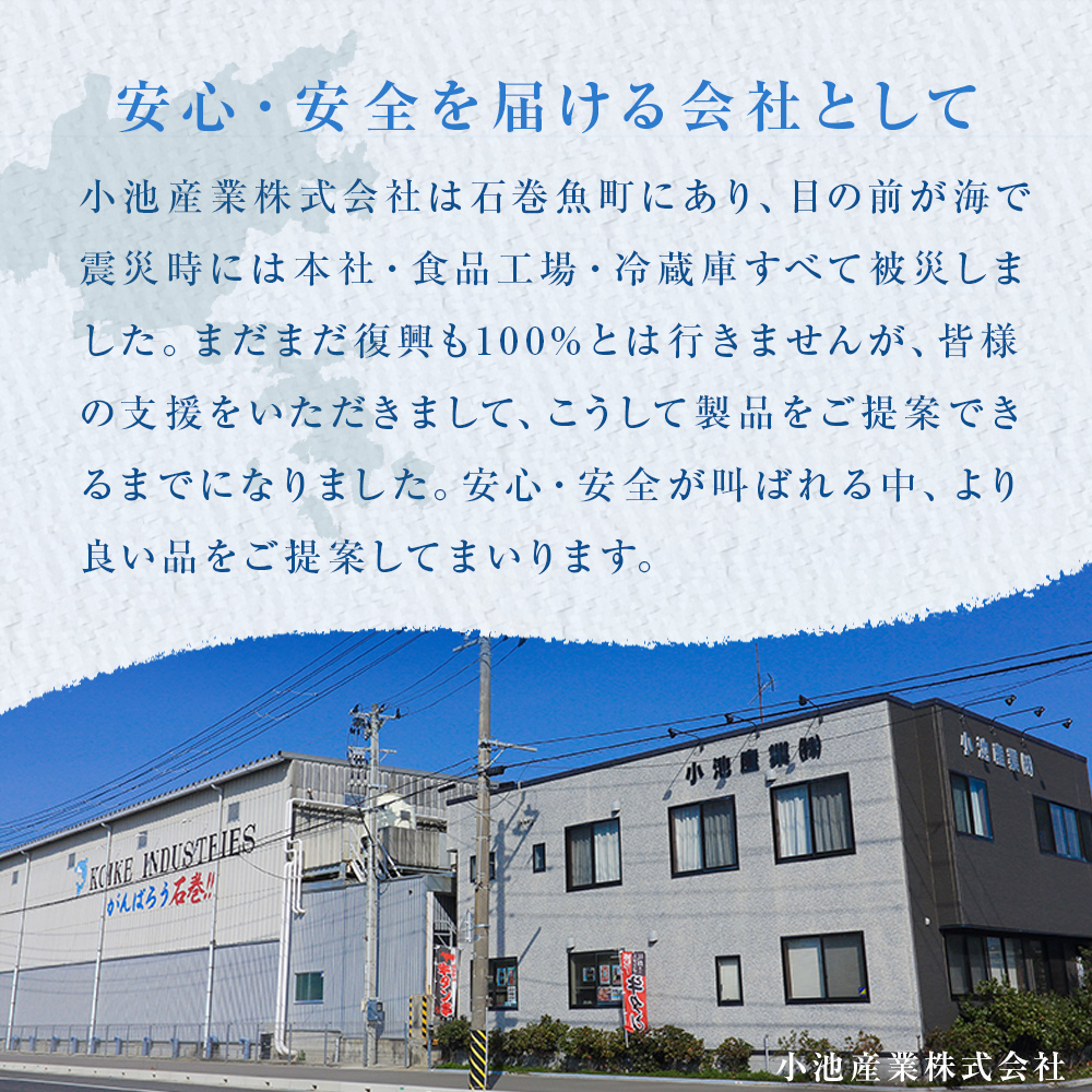 《訳あり》  定塩銀鮭 約 1kg  / 無塩サバフィレ 約 2kg 切り身 セット 合計 3kg 食べ比べ 詰め合わせ 鮭 サバ 塩鮭 甘塩 無塩さば おかず お弁当 切身 焼き魚 宮城県 石巻市 