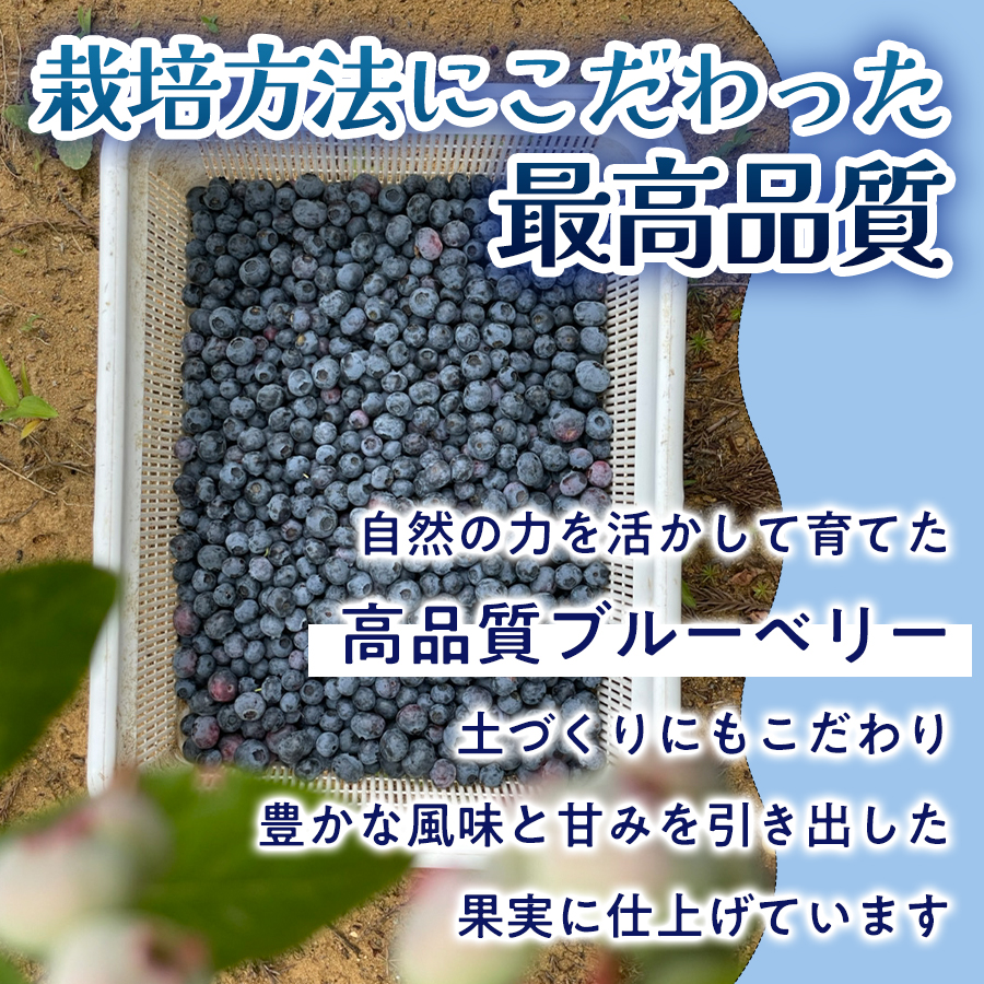 ブルーベリージャム 200ml × 3個 ブルーベリー ジャム 自然栽培 無農薬 化学肥料不使用 冷蔵 ベリー 国産 フルーツ 果物 パウチ 宮城県 石巻市 宮城 石巻