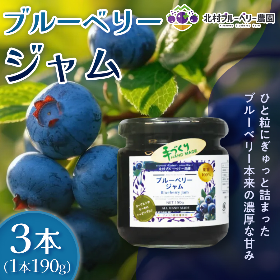 ブルーベリージャム 190g × 3本 ブルーベリー ジャム 自然栽培 無農薬 化学肥料不使用 冷蔵 ベリー 国産 フルーツ 果物 宮城県 石巻市 宮城 石巻