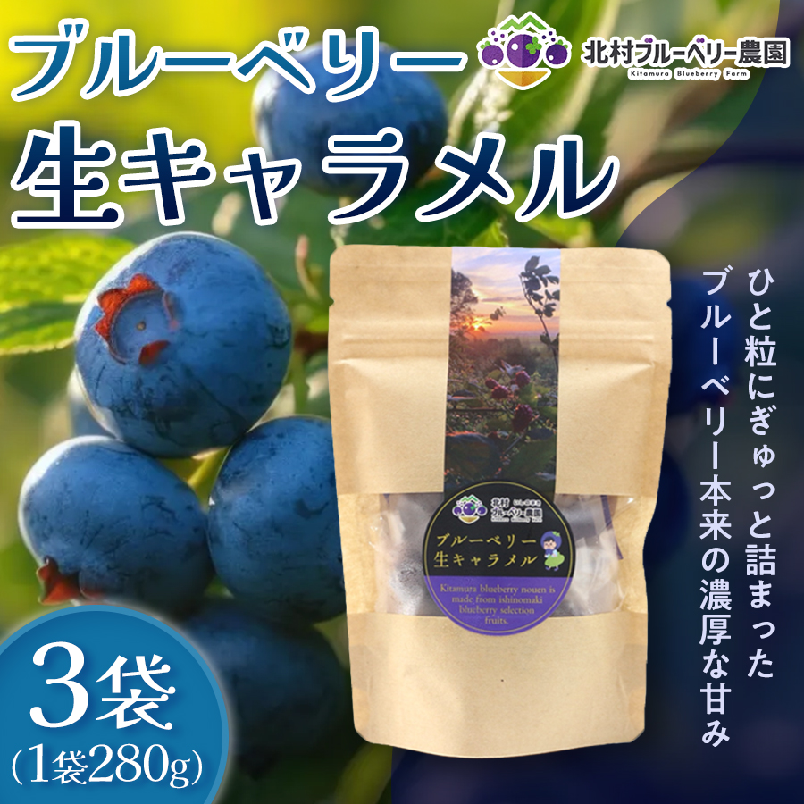 ブルーベリー生キャラメル 280g × 3袋 ブルーベリー キャラメル 生キャラメル 自然栽培 無農薬 化学肥料不使用 冷蔵 ベリー 国産 フルーツ 果物 宮城県 石巻市 宮城 石巻