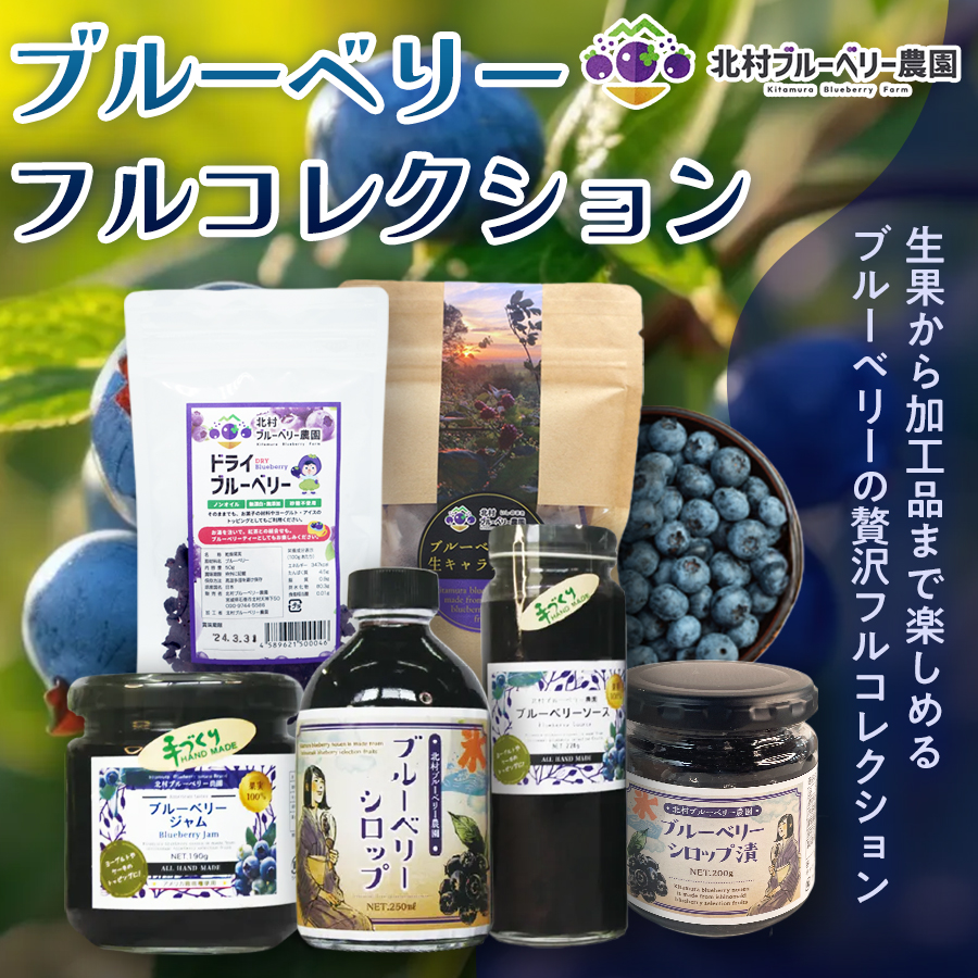 [ ブルーベリー フルコレクション 7種 ] 生ブルーベリー ・ ブルーベリーシロップ ・ ジャム ・ ドライブルーベリー ・ ブルーベリーソース ・ ブルーベリー生キャラメル ・ ブルーベリーシロップ漬け ×1セット ブルーベリー 国産 自然栽培 無農薬 化学肥料不使用 宮城県 石巻市 宮城 石巻