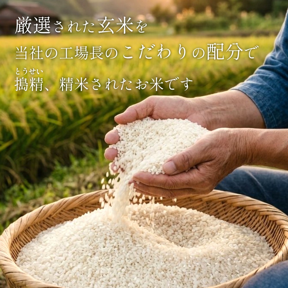 【 令和8年産 】 新米 つや姫 15kg < 毎月 15kg 3回 お届け >宮城県 石巻市産 定期便3回 精米 鮮度優先 米 お米 白米 ブランド米 単一原料米 産地直送 ごはん お弁当 宮城県 石巻市