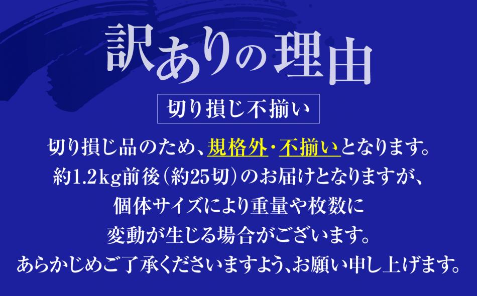 訳あり とろ さば切身 干し 約 1.2kg (25切前後 ) 冷凍 ノルウェー産 【 訳アリ 規格外 不揃い 傷もの 熟成 ひもの 魚 鯖 さば サバ 魚介 海産物 塩竈市 宮城県 間宮商店】| mm00014-25