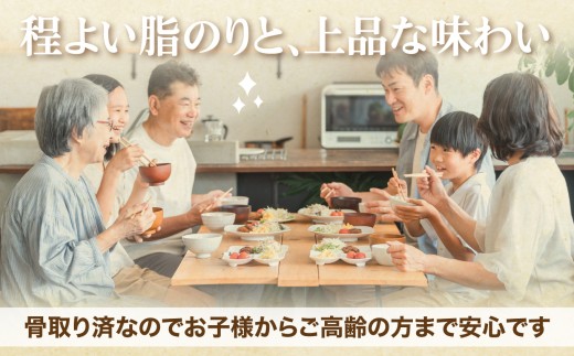 しゃけミート 銀鮭 サーモン ミンチ 200g×12袋 2.4kg 冷凍  鮭ミンチ 骨取り つみれ おかず 宮城県 塩竈市  ss00022-2400g