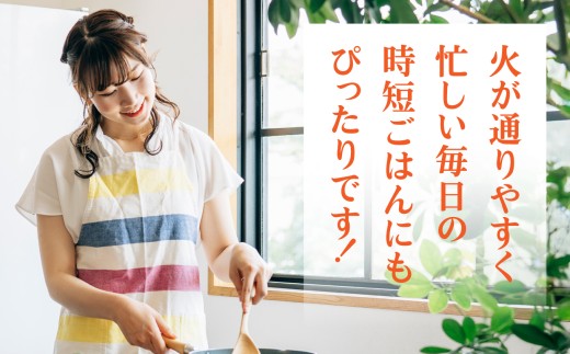 しゃけミート 銀鮭 サーモン ミンチ 200g×3袋 600g 冷凍  鮭ミンチ 骨取り つみれ おかず 宮城県 塩竈市  ss00022-600g