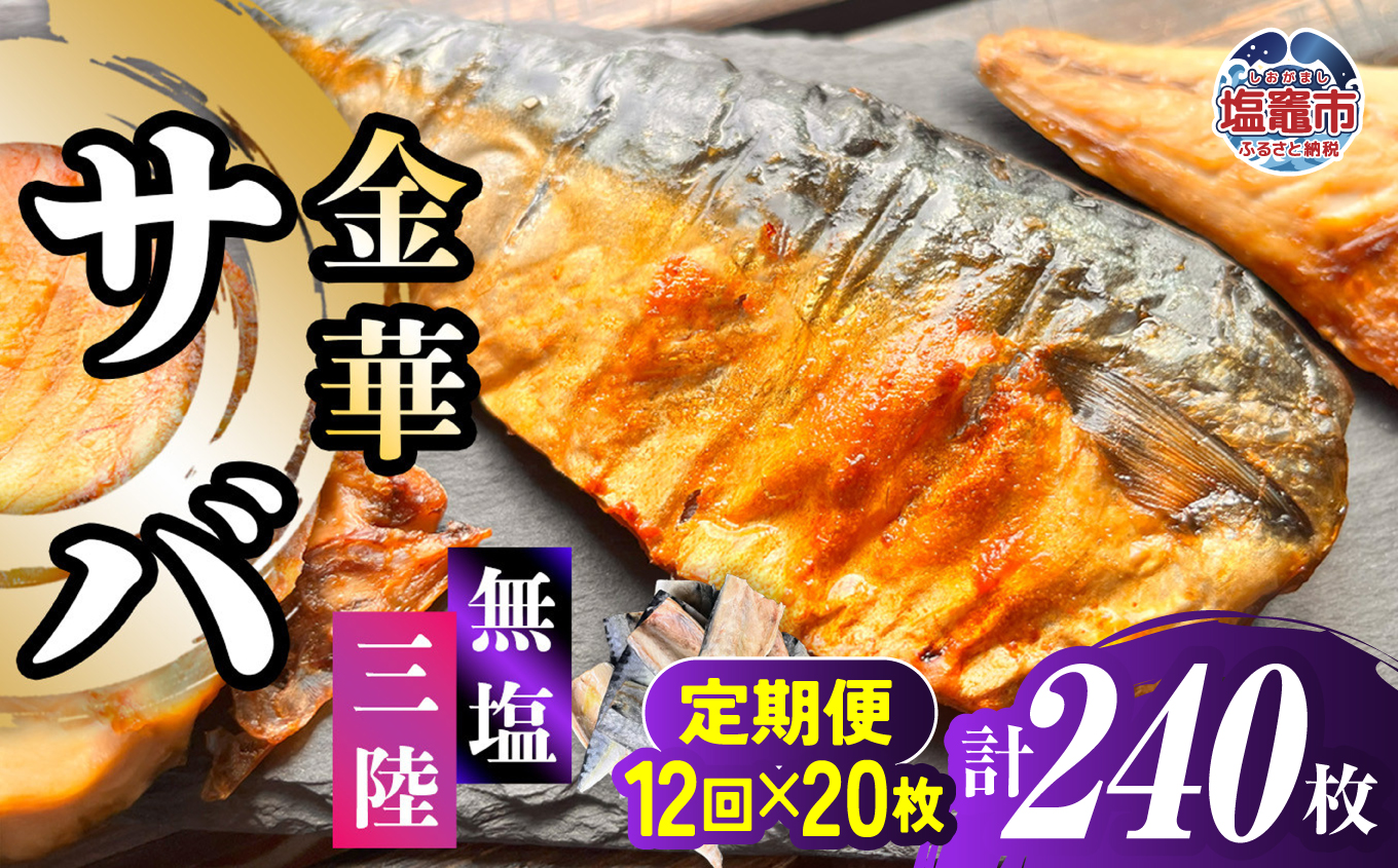 金華さば 半身フィレ 定期便12回×20枚 計240枚 無塩 三陸 冷凍 バラ凍結 ブランド 国産 宮城県産 金華山沖 三陸沖 金華さば さば 鯖 サバ 魚介 大容量 焼き魚 煮魚 味噌煮 お弁当 おかず おつまみ 宮城県 塩竈市 三波食品 ｜ nh00013-20s-t12