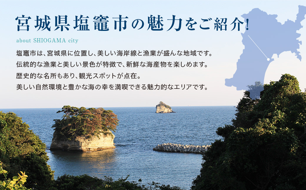 魚 詰め合わせ セット (白醤油魚漬け) 職人焼き上げ仕上げ 味付け 加工 宮城県 塩竈市 阿部守商店  5197267