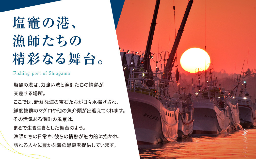 塩釜市場の塩辛５本セット　三陸産 手造り 海鮮 いか ほや ゆず 旨辛 塩辛 しおから おつまみ　烏賊 塩竈市 宮城県 平塚商店 r6-4524546