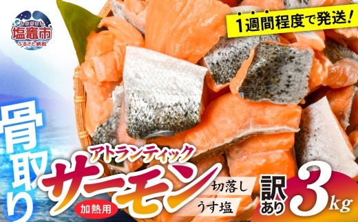 [訳あり] 鮭 無添加 銀鮭 3kg 骨取り 切り落とし 不揃い 規格外 アトランティックサーモン 冷凍 うす塩 塩釜水産食品 宮城県 塩竈市 魚介 | ss04203-n3
