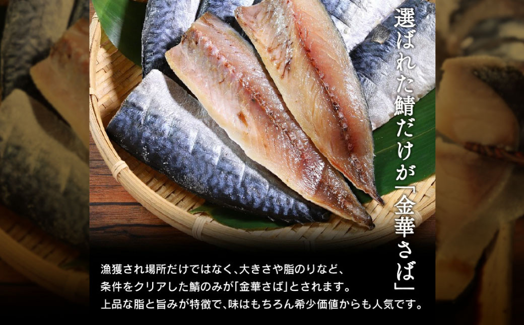 宮城 さばセット（干物・しめ鯖）　 5786575