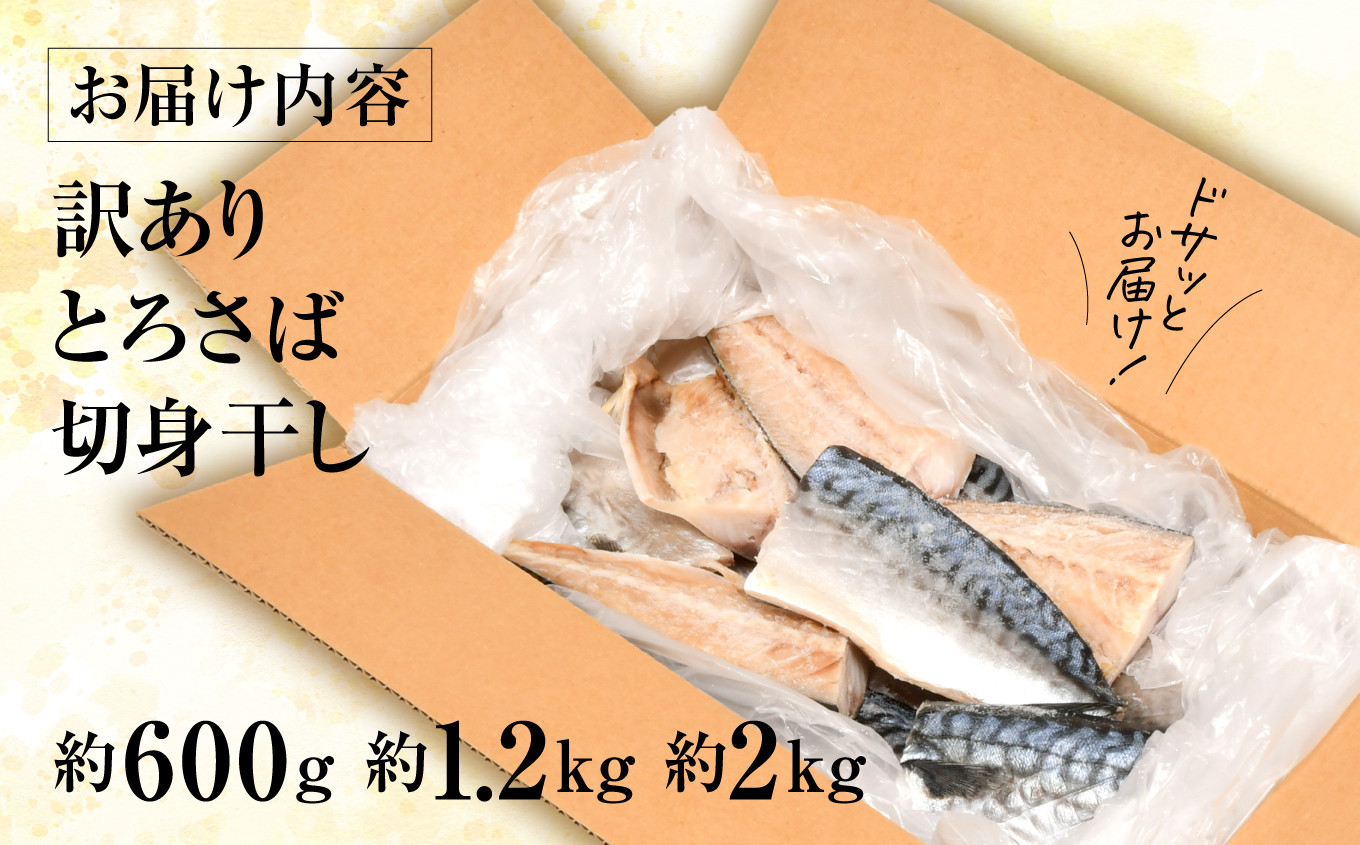 訳あり とろ さば切身 干し 約 1.2kg (25切前後 )  冷凍 ノルウェー産 【 訳アリ 規格外 不揃い 傷もの 熟成 ひもの 魚 鯖 さば サバ 魚介 海産物  塩竈市 宮城県 間宮商店】| mm00014