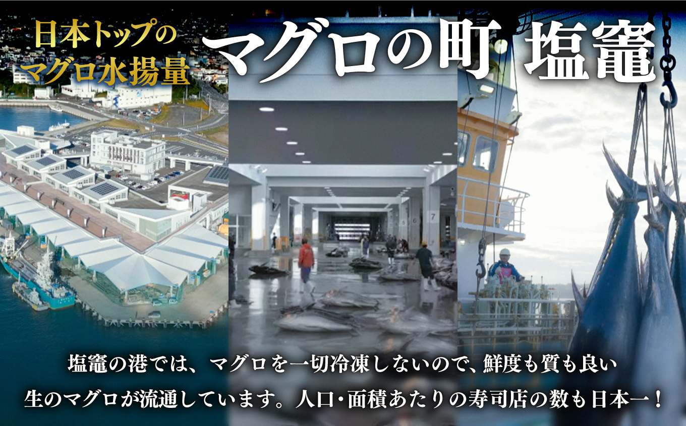 蝪ゥ驥懈クッ 逕 譛ャ繝槭げ繝ュ 荳ュ繝医Ο 譟オ 400g 蜀キ阡オ 蟒サ魄ョ蟇ソ蜿ク蝪ゥ驥懈クッ | 縺セ縺舌m 荳ュ縺ィ繧 蟇ソ蜿ク 蛻コ霄ォ 驩轣ォ荳シ 魄ェ 豬キ魄ョ 豬キ魄ョ荳シ 鬲壻サ 鬲 莠コ豌 繧ェ繧ケ繧ケ繝。 莠コ豌 蝪ゥ遶亥ク 蝪ゥ驥 kz00002-400g