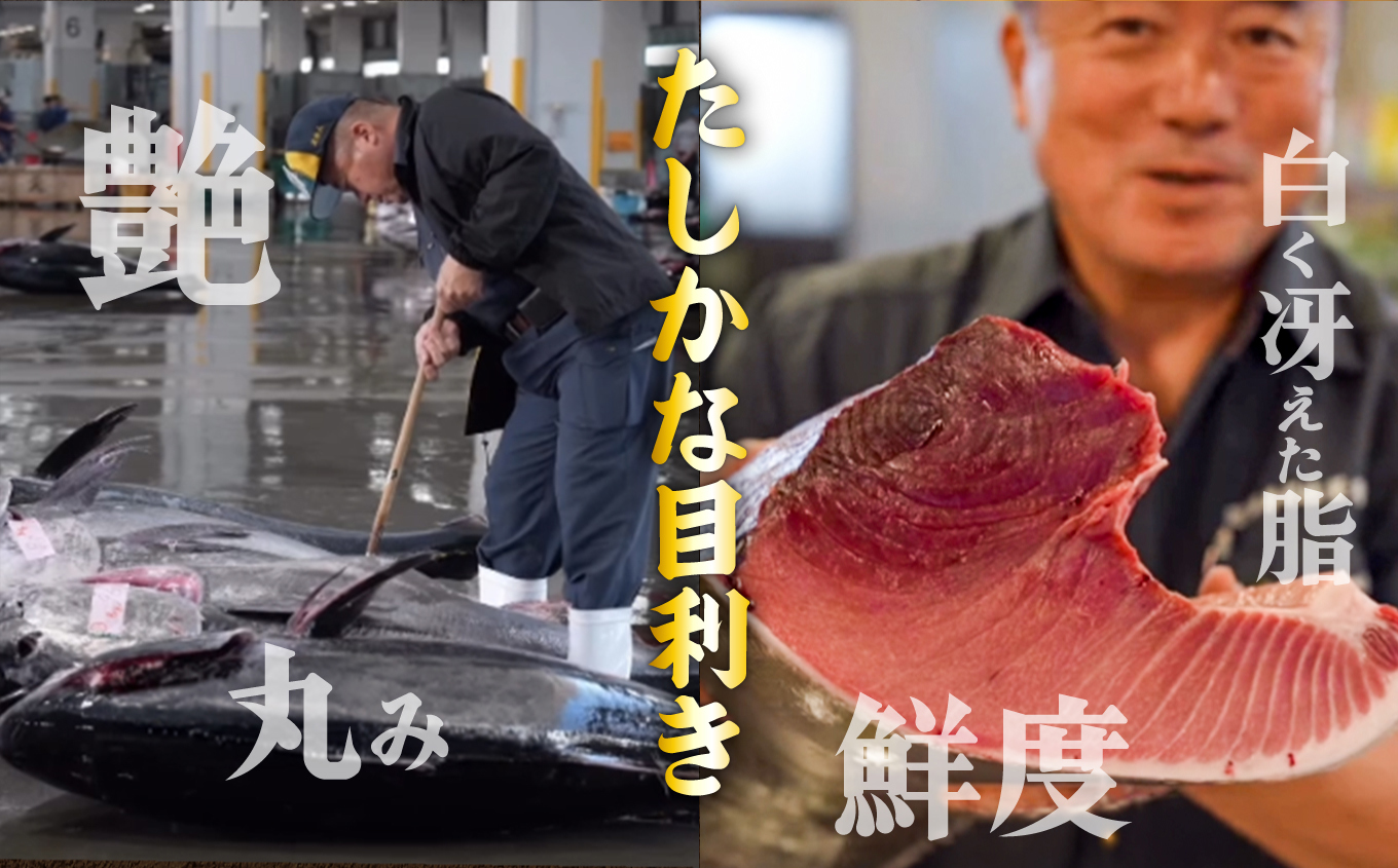 蝪ゥ驥懈クッ 逕 譛ャ繝槭げ繝ュ 荳ュ繝医Ο 譟オ 400g 蜀キ阡オ 蟒サ魄ョ蟇ソ蜿ク蝪ゥ驥懈クッ | 縺セ縺舌m 荳ュ縺ィ繧 蟇ソ蜿ク 蛻コ霄ォ 驩轣ォ荳シ 魄ェ 豬キ魄ョ 豬キ魄ョ荳シ 鬲壻サ 鬲 莠コ豌 繧ェ繧ケ繧ケ繝。 莠コ豌 蝪ゥ遶亥ク 蝪ゥ驥 kz00002-400g