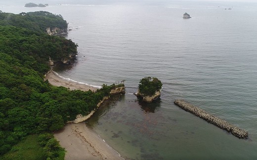 浦戸諸島・桂島　牡蠣づくし宿泊プラン（ペア２名様）　 4544431