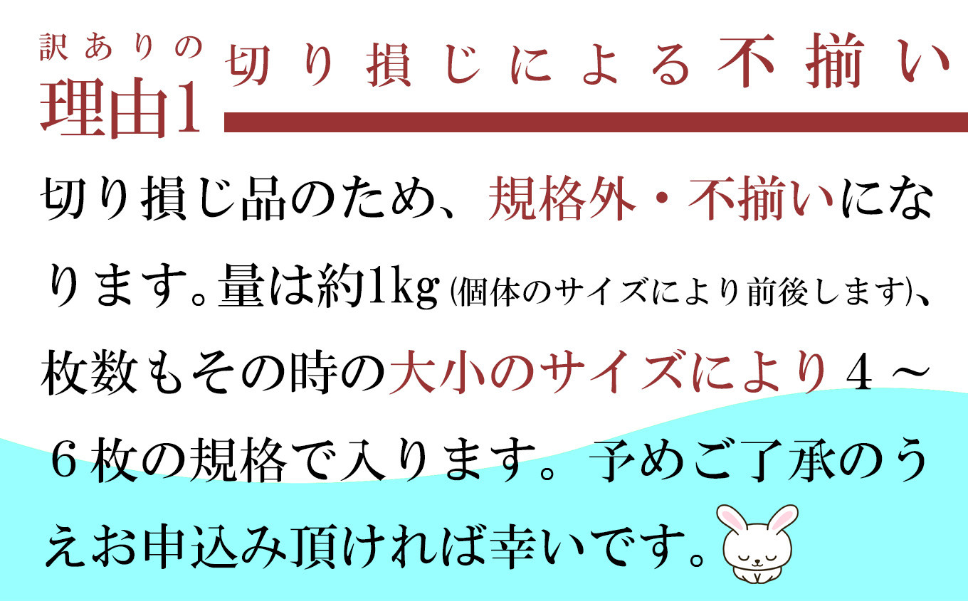 訳あり 北海道産 真 ホッケ 開き干し 約1kg 4〜6枚入り 冷凍 【 訳アリ 不揃い 規格外 国産 ほっけ 真ほっけ 熟成 ひもの 干物 宮城県 塩竈市 間宮商店 】 r6-mm00011