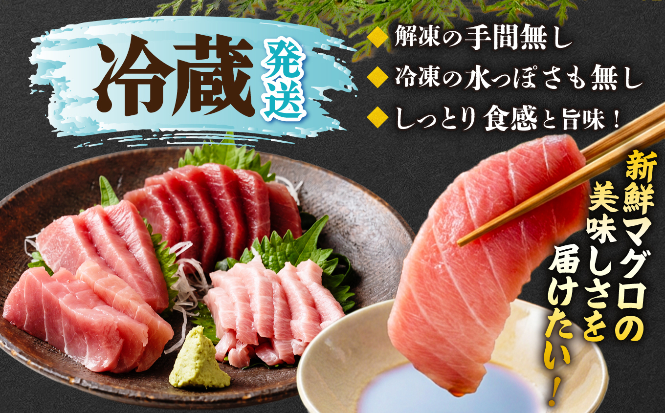 蝪ゥ驥懈クッ 逕 譛ャ繝槭げ繝ュ 荳ュ繝医Ο 譟オ 400g 蜀キ阡オ 蟒サ魄ョ蟇ソ蜿ク蝪ゥ驥懈クッ | 縺セ縺舌m 荳ュ縺ィ繧 蟇ソ蜿ク 蛻コ霄ォ 驩轣ォ荳シ 魄ェ 豬キ魄ョ 豬キ魄ョ荳シ 鬲壻サ 鬲 莠コ豌 繧ェ繧ケ繧ケ繝。 莠コ豌 蝪ゥ遶亥ク 蝪ゥ驥 kz00002-400g
