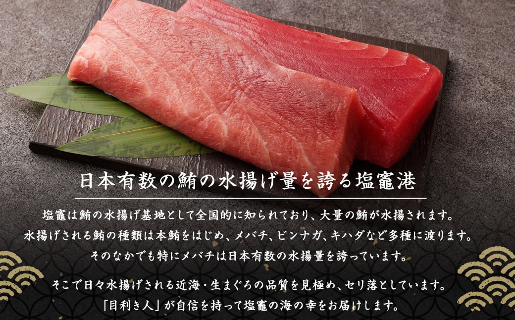 生まぐろ 約500g (柵×2) 4513678 まぐろ マグロ  鮪 冷蔵 刺身 つけ丼 漬丼 サク 鮮魚 塩竈 塩釜港 寿司のまち 塩釜 寿司 刺し身 漬け丼 海鮮 宮城県 塩竈市 三陸 人気 ランキング ギフト 数量限定 配送日指定 時間指定