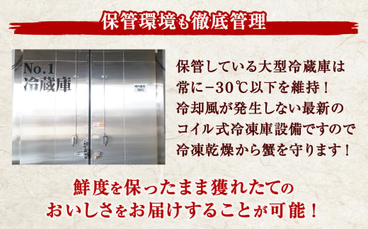タラバガニ 特大 ボイル 脚 冷凍 2kg (4~6人前) 茹で スピード発送 【 船上 凍結 ワンフローズン 】 急速冷凍 たらば蟹 冬の味覚 旬 お祝い 酒 サケ おつまみ お取り寄せ グルメ 食べ方 ステーキ かに飯 カニ料理 食べ放題 天然 食材 かに カニ 蟹 タラバ蟹 たらば カニ鍋 贅沢 かにしゃぶ 刺し身 宮城県 塩竈市 塩釜 海の幸 YAMATO 5116817-2