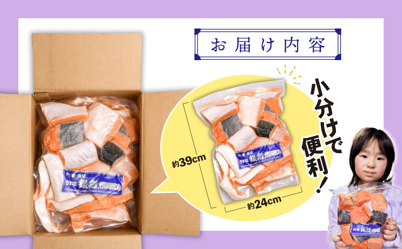 【 スピード発送 】 鮭 切り落とし 骨取り 銀鮭 冷凍 小分け うす塩 3.9kg (600g×6パック＋300g) ｜  宮城県 塩竈市 塩釜水産食品 5037888