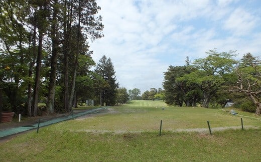 莉吝。ゥ繧エ繝ォ繝募カ讌ス驛ィ縲蟷ウ譌・4蜷阪励Ξ繝シ縲 4811880