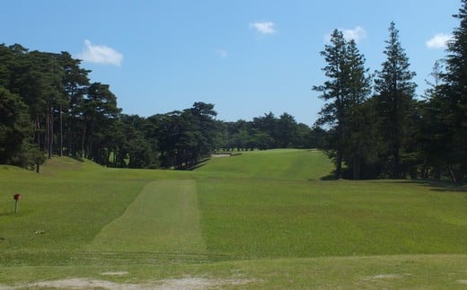 莉吝。ゥ繧エ繝ォ繝募カ讌ス驛ィ縲蟷ウ譌・4蜷阪励Ξ繝シ縲 4811880
