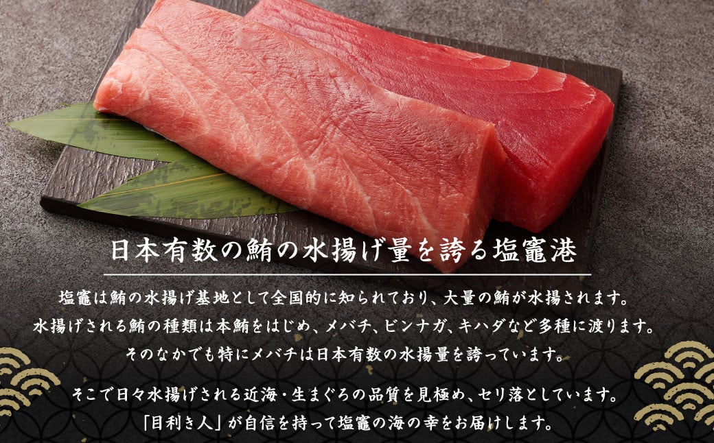 逕溘∪縺舌m 邏500g (譟オテ2) 4513678 縺セ縺舌m 繝槭げ繝ュ 魄ェ 蜀キ阡オ 蛻コ霄ォ 縺、縺台クシ 貍ャ荳シ 繧オ繧ッ 魄ョ鬲 蝪ゥ遶 蝪ゥ驥懈クッ 蟇ソ蜿ク縺ョ縺セ縺。 蝪ゥ驥 蟇ソ蜿ク 蛻コ縺苓コォ 貍ャ縺台クシ 豬キ魄ョ 螳ョ蝓守恁 蝪ゥ遶亥ク 荳蛾匣 莠コ豌 繝ゥ繝ウ繧ュ繝ウ繧ー 繧ョ繝輔ヨ 謨ー驥城剞螳 驟埼∵律謖螳 譎る俣謖螳