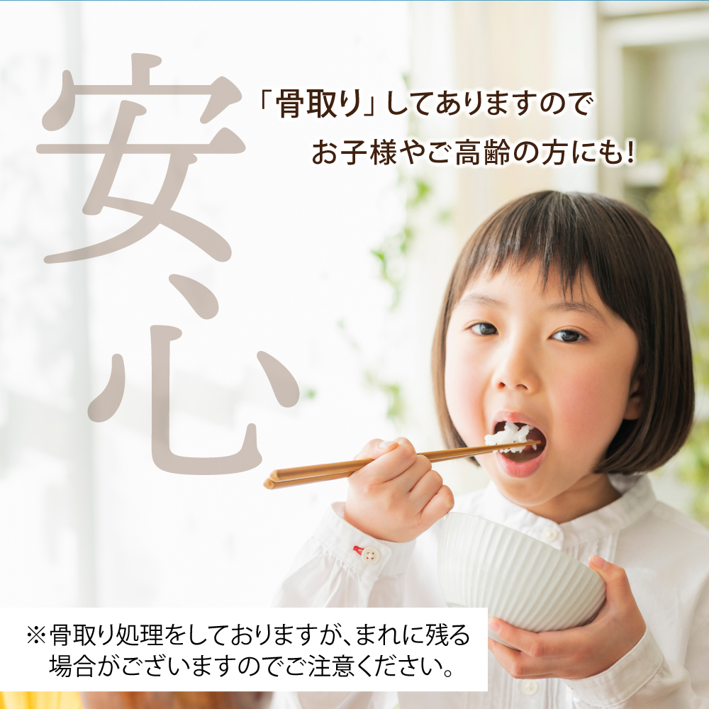 鮭 切り落とし 骨取り 銀鮭 冷凍 小分け うす塩 600g ｜ 切り身 切落し サーモン さけ サケ シャケ 塩鮭 塩さけ 魚 朝ごはん おかず 骨抜き 便利 お弁当 海産物 魚介 家庭用 弁当 銀鮭切り身 人気 ランキング 宮城県 塩竈市 塩釜水産食品 ss00002-kh02
