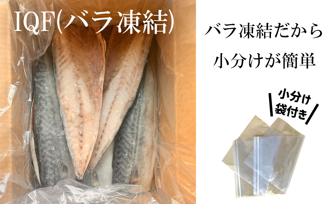 三陸産 金華さば 半身フィレ 16枚(2.2kg) 無塩 冷凍 バラ凍結 ブランド 国産 宮城県産 金華山沖 三陸沖 金華さば さば 鯖 サバ 魚介 大容量 焼き魚 煮魚 味噌煮 お弁当 おかず おつまみ 宮城県 塩竈市 三波食品