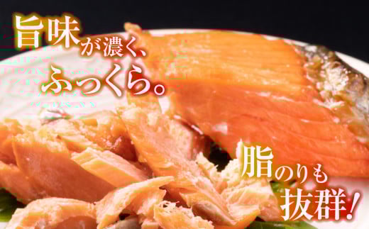 鮭 切り落とし 天然 紅鮭 骨なし 訳あり 規格外 不揃い 甘口 2.2kg 冷凍 ｜ さけ サーモン 紅サケ サケ しゃけ シャケ 切り落し 切落し 塩竈 塩釜産 藻塩 仕込み 宮城県 塩竈市 わけあり 訳アリ 切り身 魚 海鮮 家庭用 おかず 規格外 不揃い yt00002