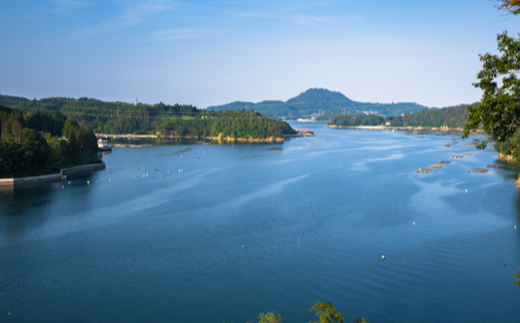 縺オ縺九イ繧悟ァソ辣ョシ郁ク繝薙Ξシ峨200gシ医ヲ繝ャ50g蜑榊セ鯉シ 5369997