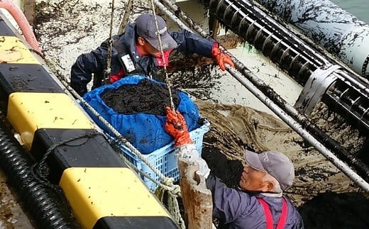 しおがま浦戸名産　焼のり(１パック10枚入り) ×５個 (50枚) gk00001