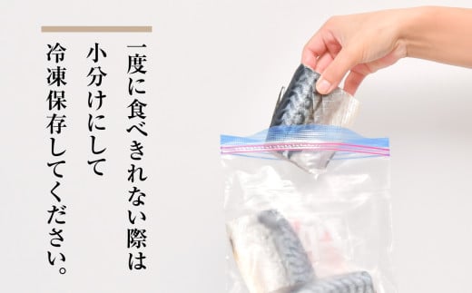 訳あり とろ さば切身 干し 約 1.2kg (25切前後 ) 冷凍 ノルウェー産 【 訳アリ 規格外 不揃い 傷もの 熟成 ひもの 魚 鯖 さば サバ 魚介 海産物 塩竈市 宮城県 間宮商店】| mm00014-25