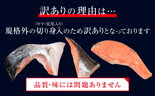 訳あり  銀鮭 切身 甘口 ( 不揃い ) 約2.8kg 鮭 冷凍 サケ ワケアリ ワケあり わけあり カマ尻尾込み ss00004