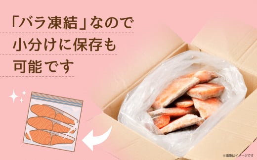 鮭 切り落とし 天然 紅鮭 骨なし 訳あり 規格外 不揃い 甘口 2.2kg 冷凍 ｜ さけ サーモン 紅サケ サケ しゃけ シャケ 切り落し 切落し 塩竈 塩釜産 藻塩 仕込み 宮城県 塩竈市 わけあり 訳アリ 切り身 魚 海鮮 家庭用 おかず 規格外 不揃い yt00002