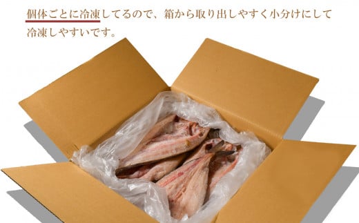 訳あり 北海道産 真 ホッケ 開き干し 約1kg 4～6枚入り 冷凍 【 訳アリ 不揃い 規格外 国産 ほっけ 真ほっけ 熟成 ひもの 干物 宮城県 塩竈市 間宮商店 】 mm00011