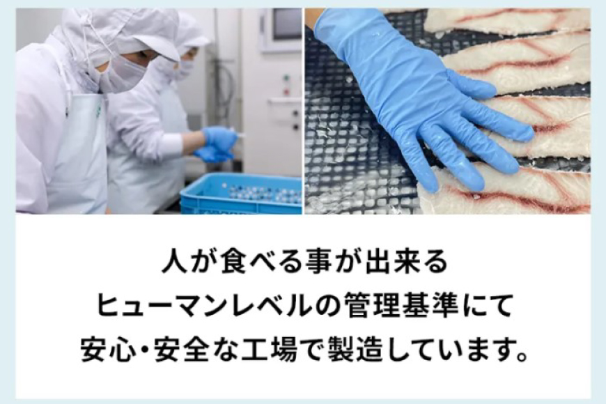 UMINO PET サメ肉と軟骨のパウダー 計120g（40g×3） [石渡商店 宮城県 気仙沼市 20563977] ペットフード ドッグフード 犬 いぬ 犬用 ペット おやつ オヤツ トッピング サメ 鮫 